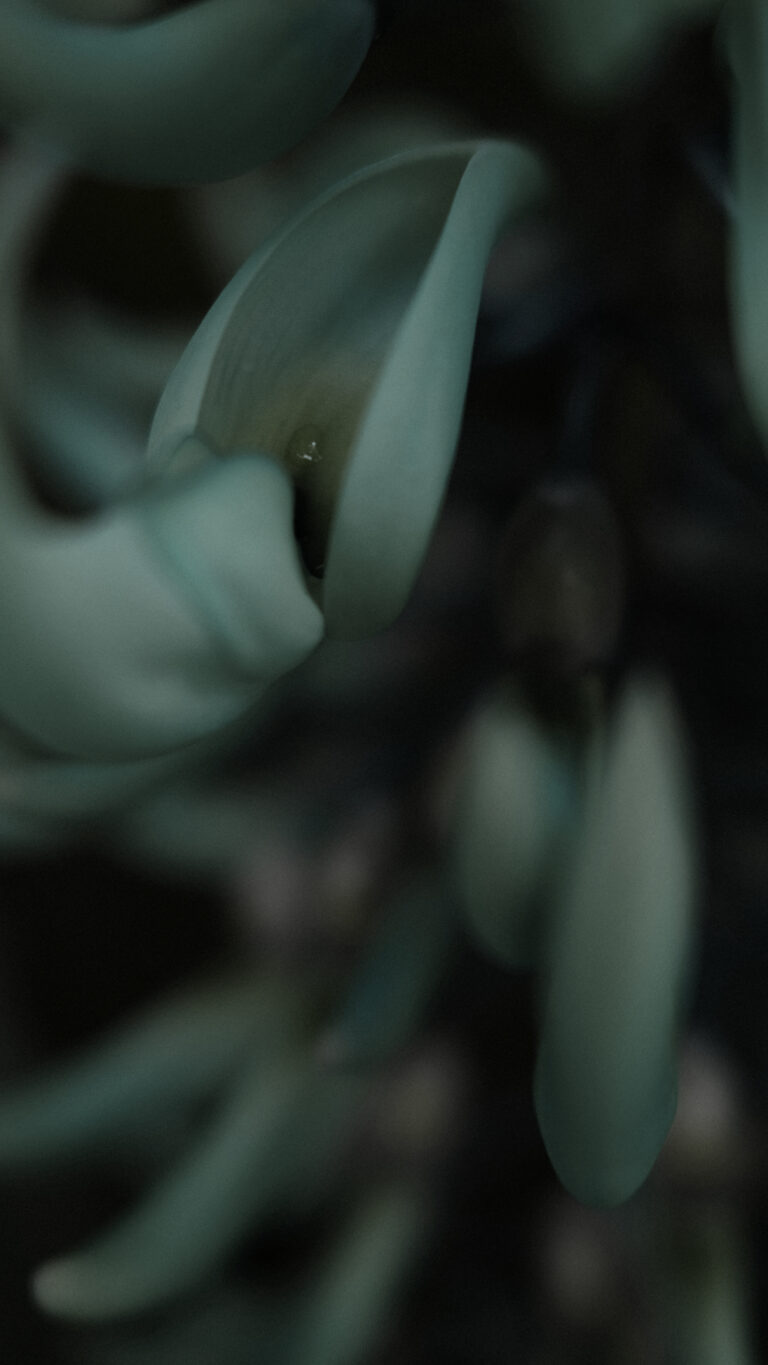 El músculo de la dirección: Por qué tu brújula no debe depender solo de los datos