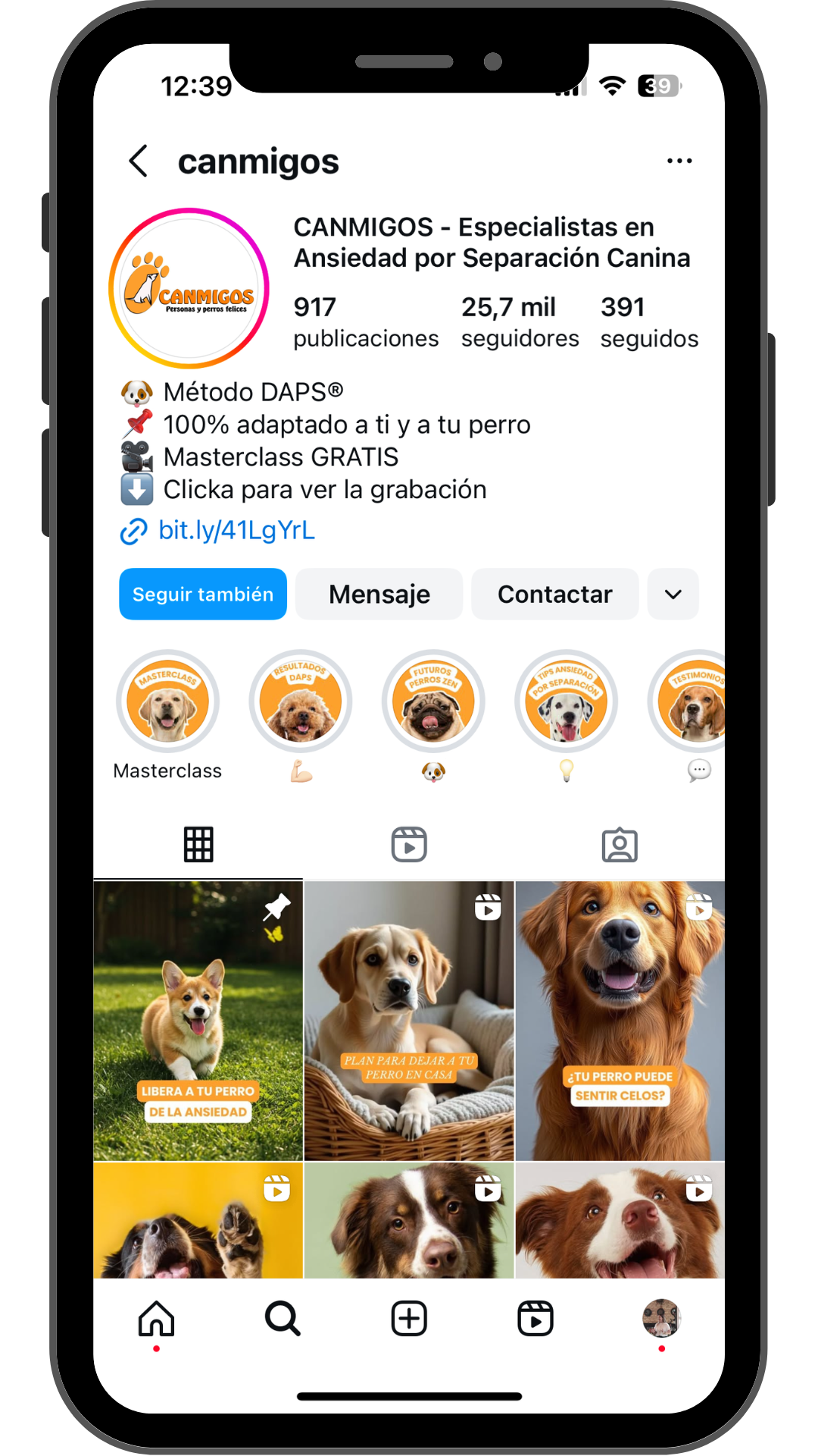 pantalla de móvil mostrando el perfil de Instagram de un negocio de adiestramiento canino, usado como ejemplo de mejora de presencia digital