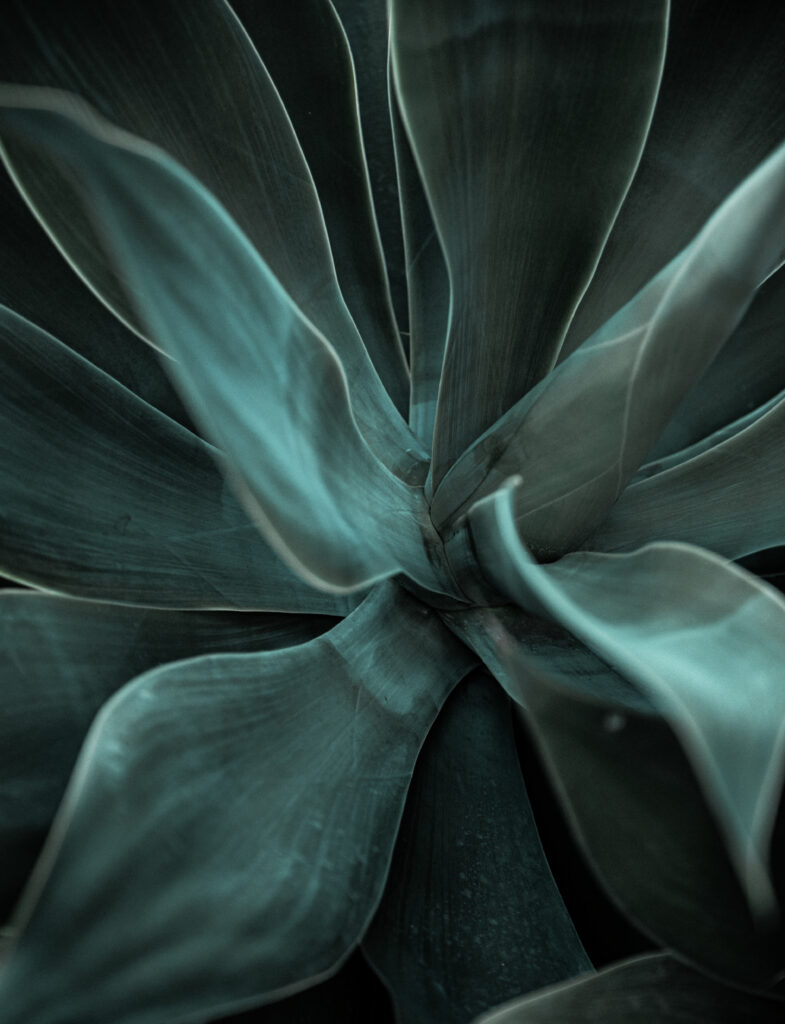 Consultoría y Dirección Estratégica para Pymes de Servicios. Estrategia, Rentabilidad, Comunicación, Marketing